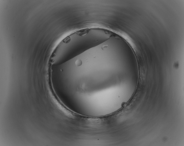 X0000091591142200708201224