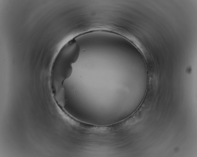 X0000091591143200708201224