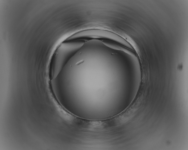 X0000091591144200708201224