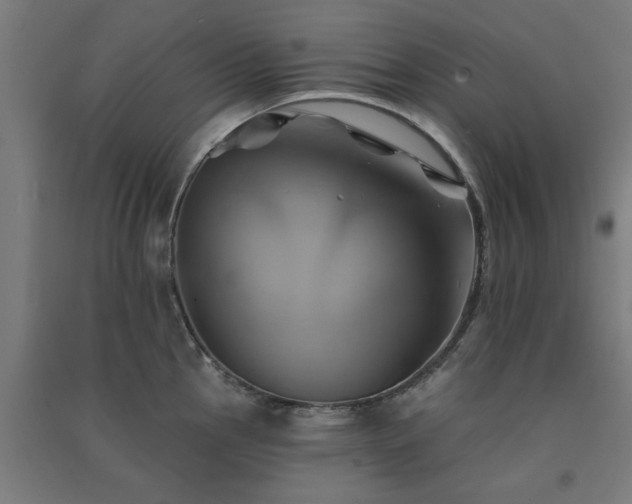 X0000091591145200708201224