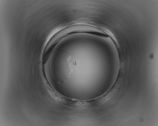 X0000091591146200708201224