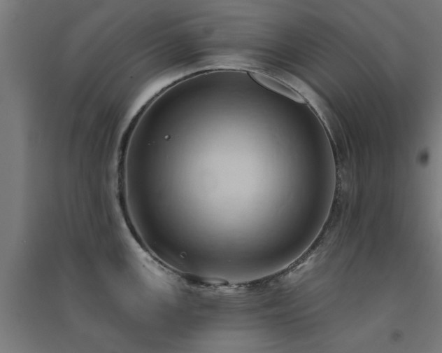 X0000091591147200708201224