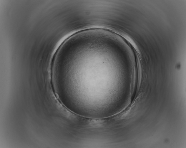 X0000091591148200708201224