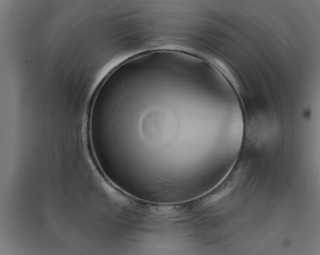 X0000091591149200708201224