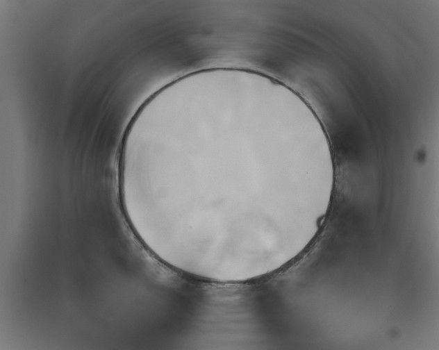 X0000091591150200708201224