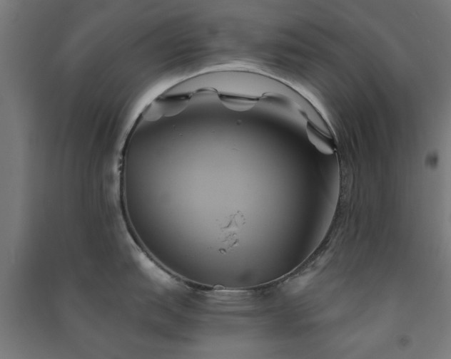 X0000091591151200708201224