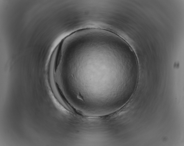 X0000091591152200708201224