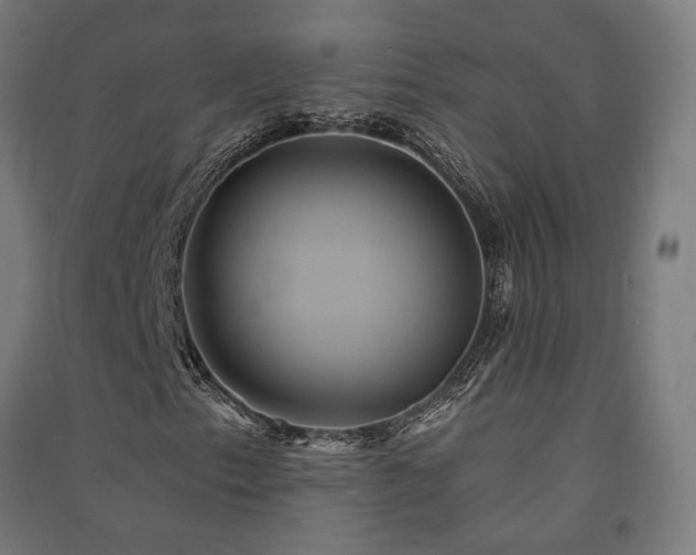 X0000091591153200708201224