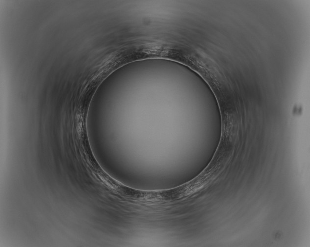 X0000091591154200708201224