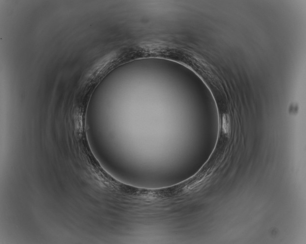 X0000091591155200708201224