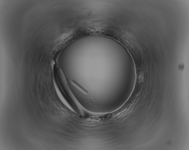X0000091591156200708201224