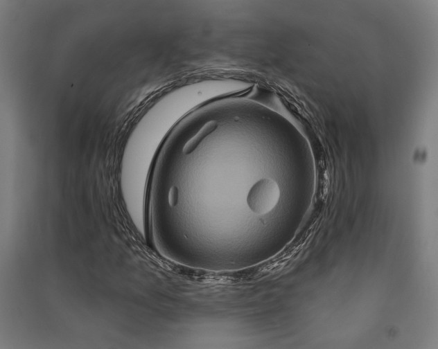 X0000091591157200708201224