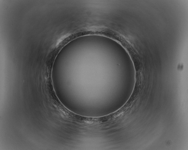 X0000091591158200708201224