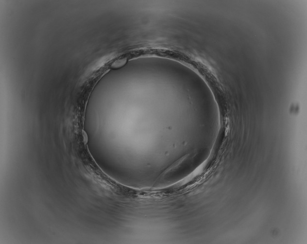 X0000091591159200708201224