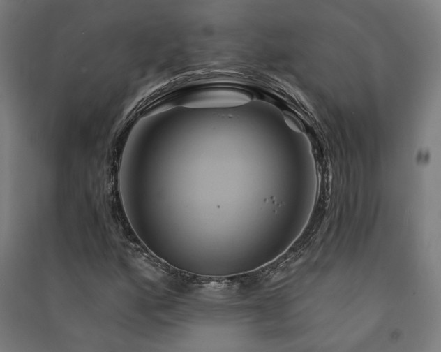 X0000091591160200708201224