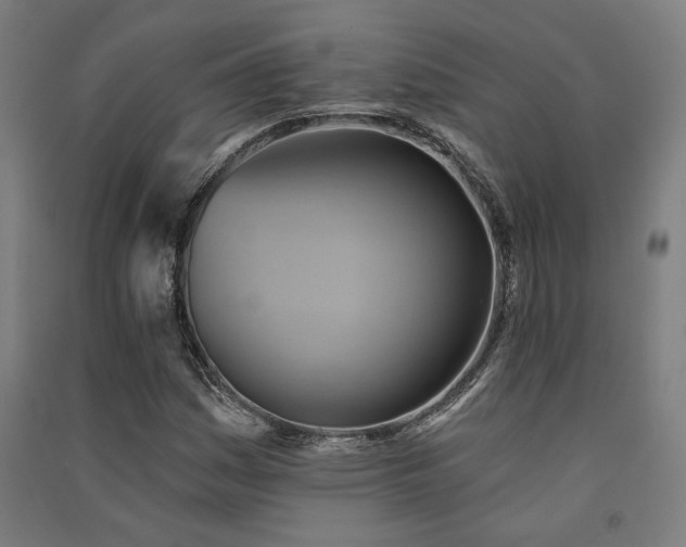 X0000091591161200708201224