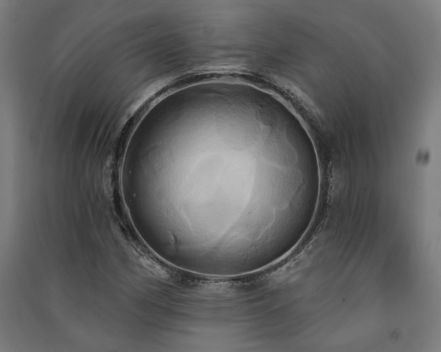 X0000091591162200708201223