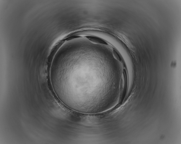 X0000091591164200708201223