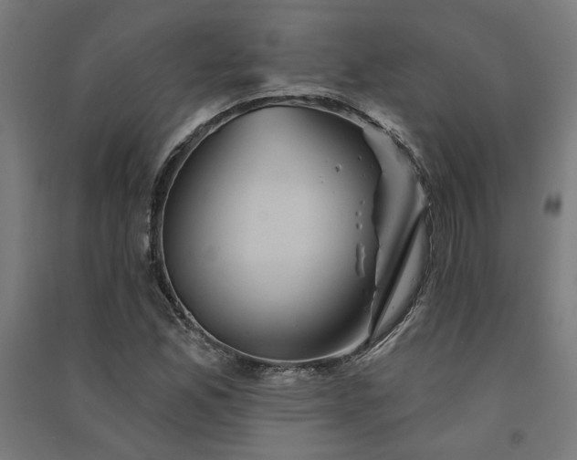 X0000091591165200708201223