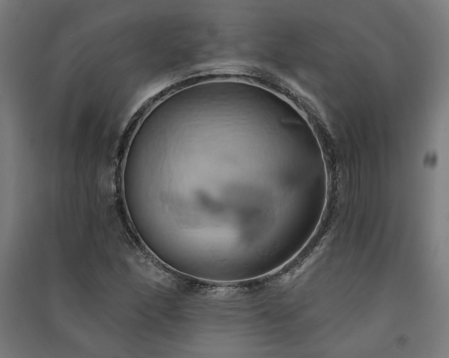 X0000091591166200708201223
