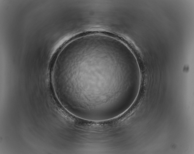 X0000091591167200708201223