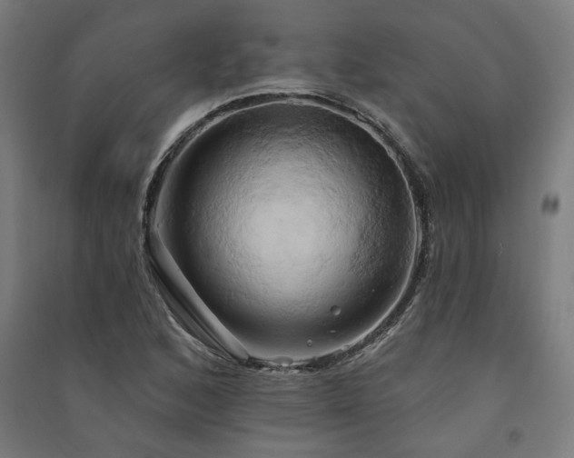 X0000091591168200708201223