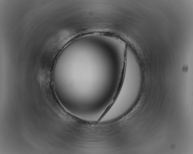 X0000091591169200708201223