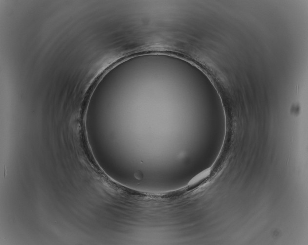 X0000091591170200708201223