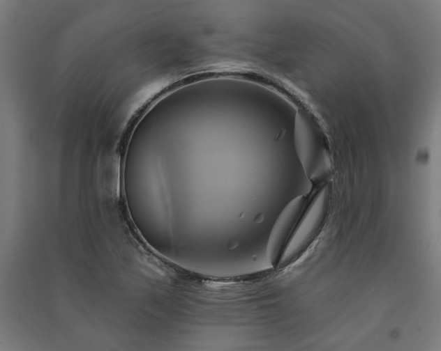X0000091591171200708201223