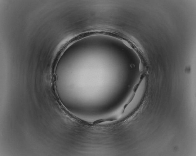 X0000091591172200708201223