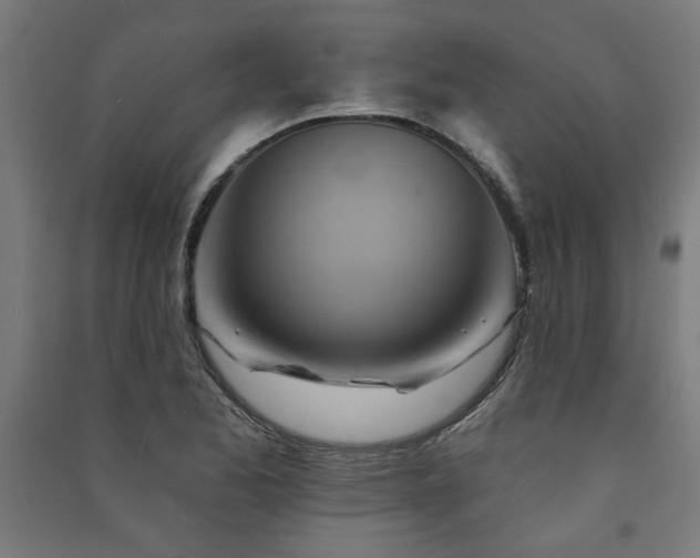 X0000091591173200708201223