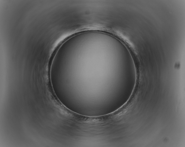 X0000091591174200708201223