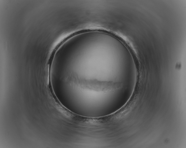 X0000091591175200708201223