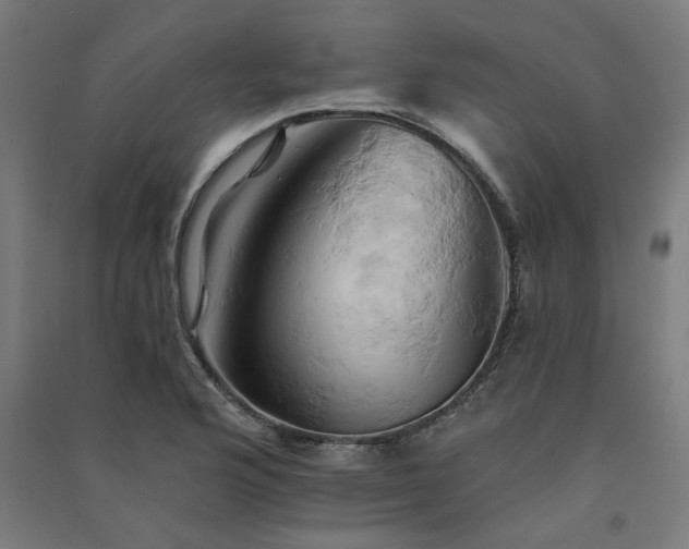 X0000091591176200708201223