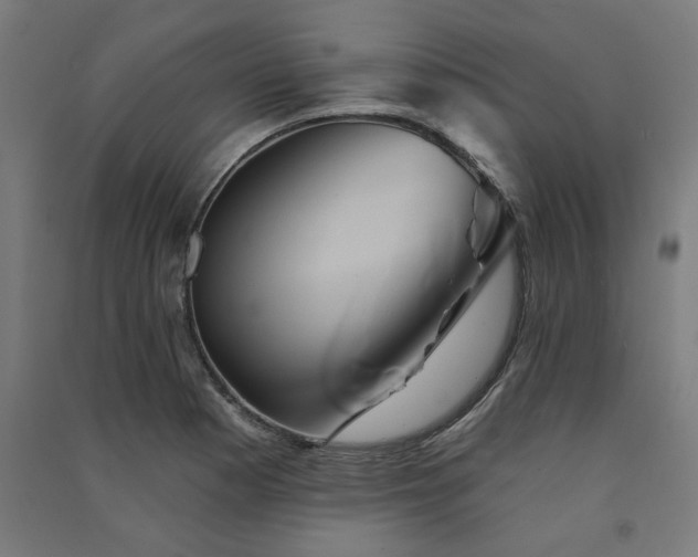 X0000091591177200708201223