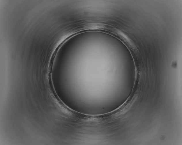 X0000091591178200708201223