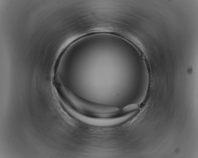X0000091591179200708201223