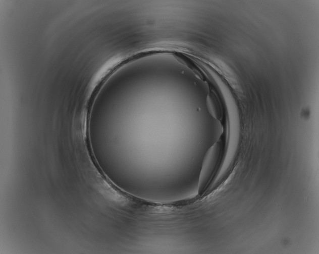 X0000091591180200708201223