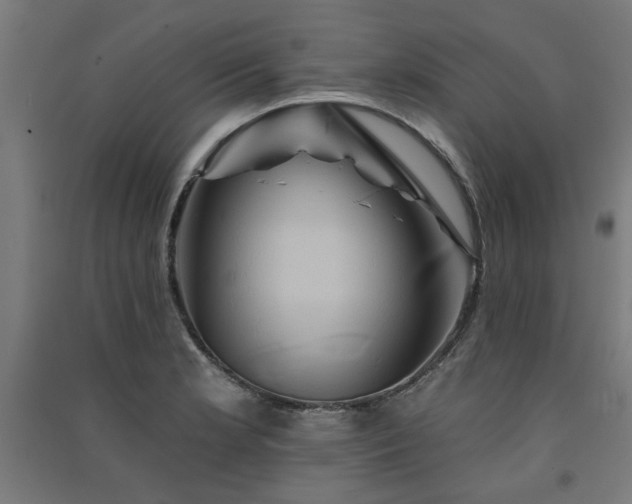 X0000091591181200708201223