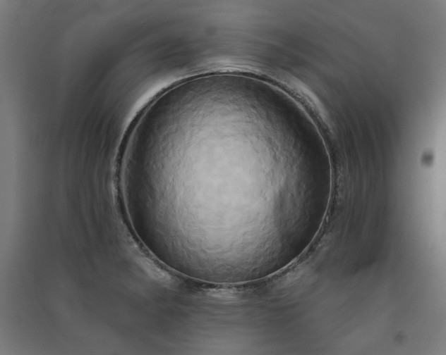 X0000091591182200708201223