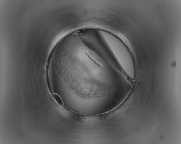 X0000091591183200708201223