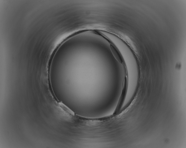 X0000091591184200708201223