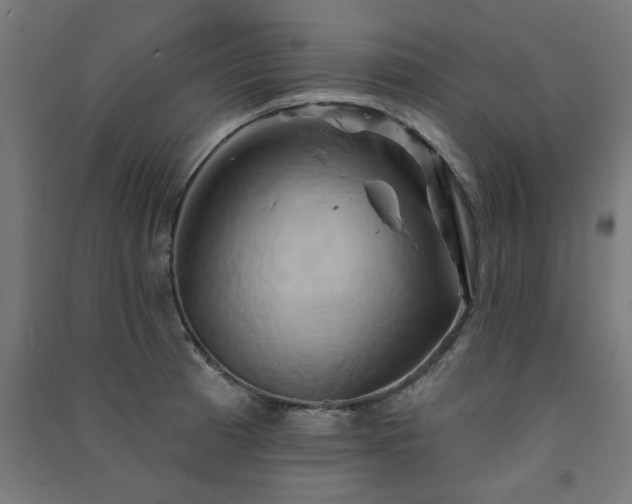 X0000091591185200708201223