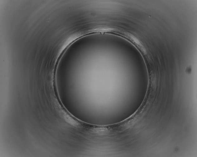X0000091591186200708201223