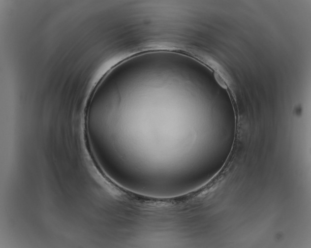 X0000091591187200708201223