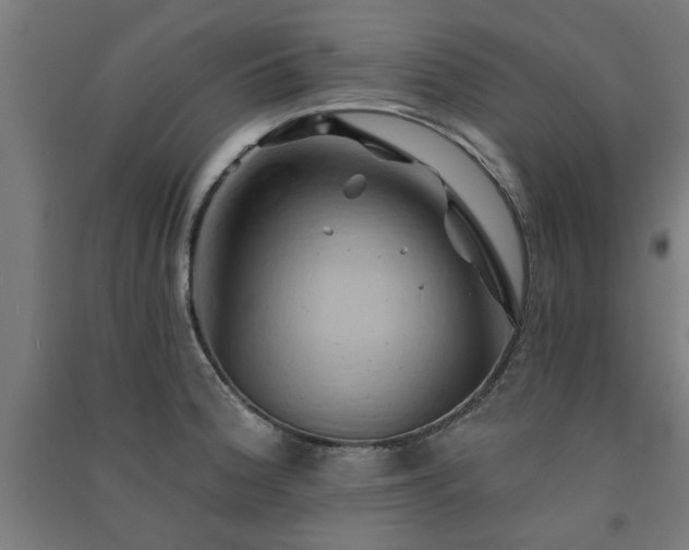 X0000091591188200708201223
