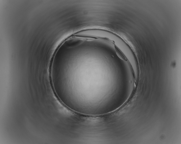X0000091591189200708201223