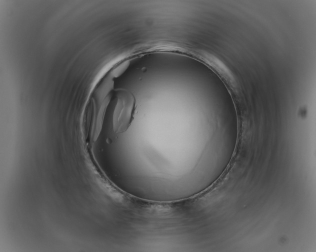 X0000091591190200708201223