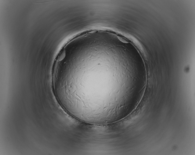 X0000091591191200708201223