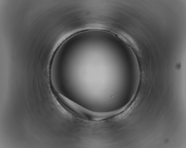 X0000091591192200708201223